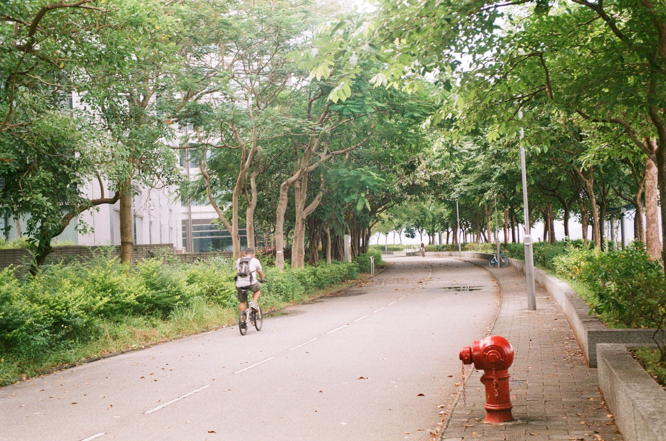 Fuji 200 #9